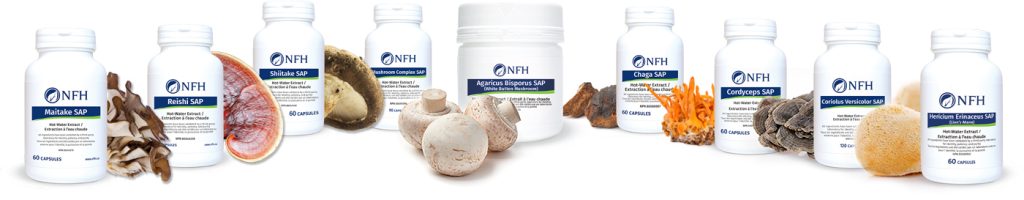 NFH Produits à base de champignons