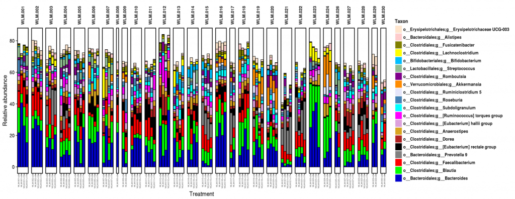 Inter-individual Variation in the Gut Microbiome